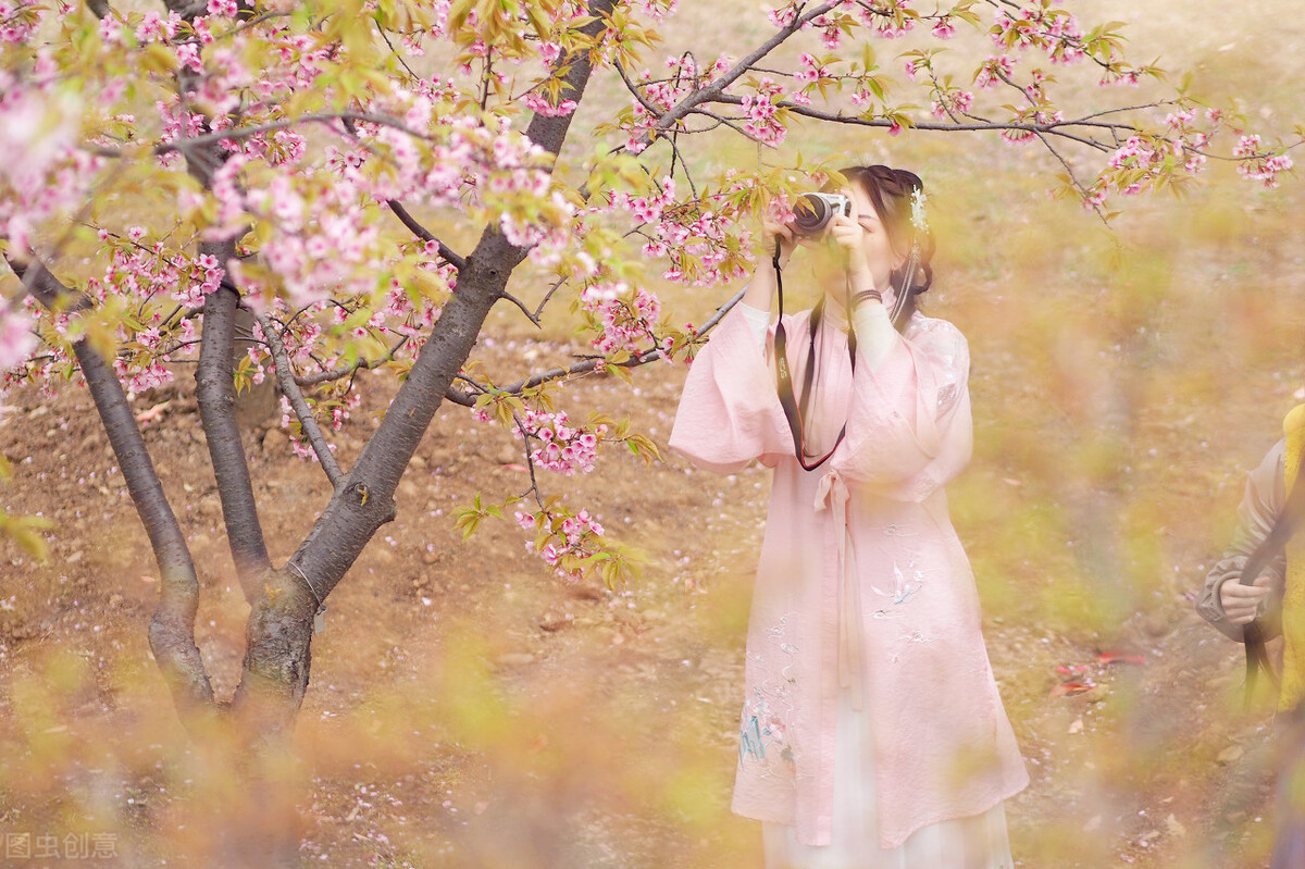 杏花村馆酒旗风赏析（古诗杏花村的诗鉴赏） 第1张
