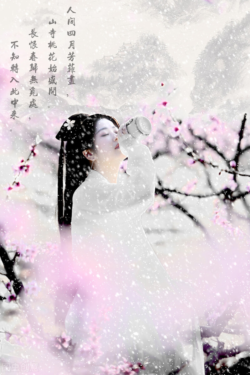杏花村馆酒旗风赏析（古诗杏花村的诗鉴赏） 第9张