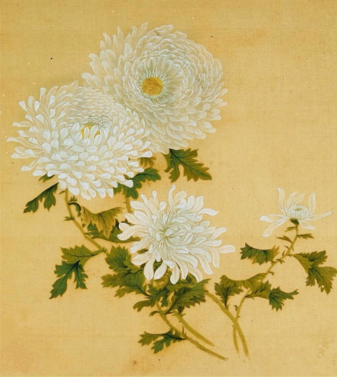 写菊花的诗句都有什么（描写赞美菊花的诗句） 第3张