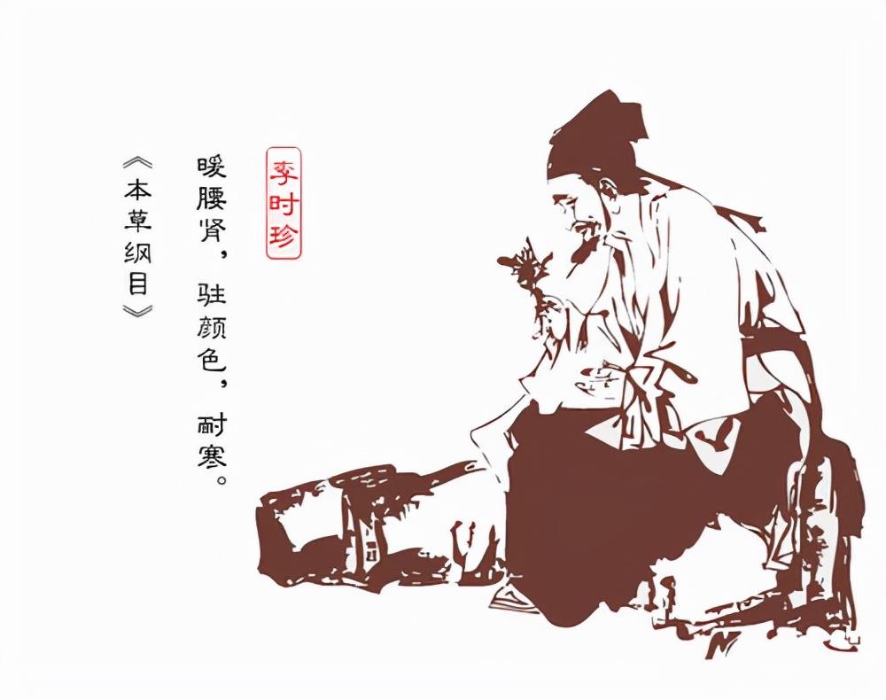 李时珍被称为什么称号（明朝李时珍的传奇一生） 第3张