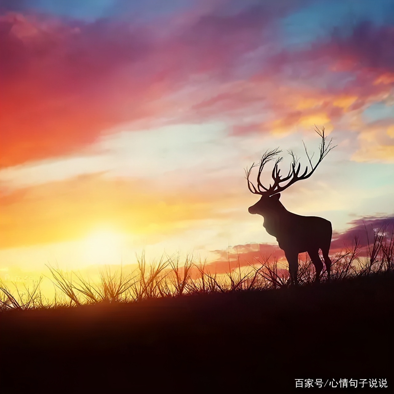 励志的句子经典语句（充满工作正能量的句子） 第1张