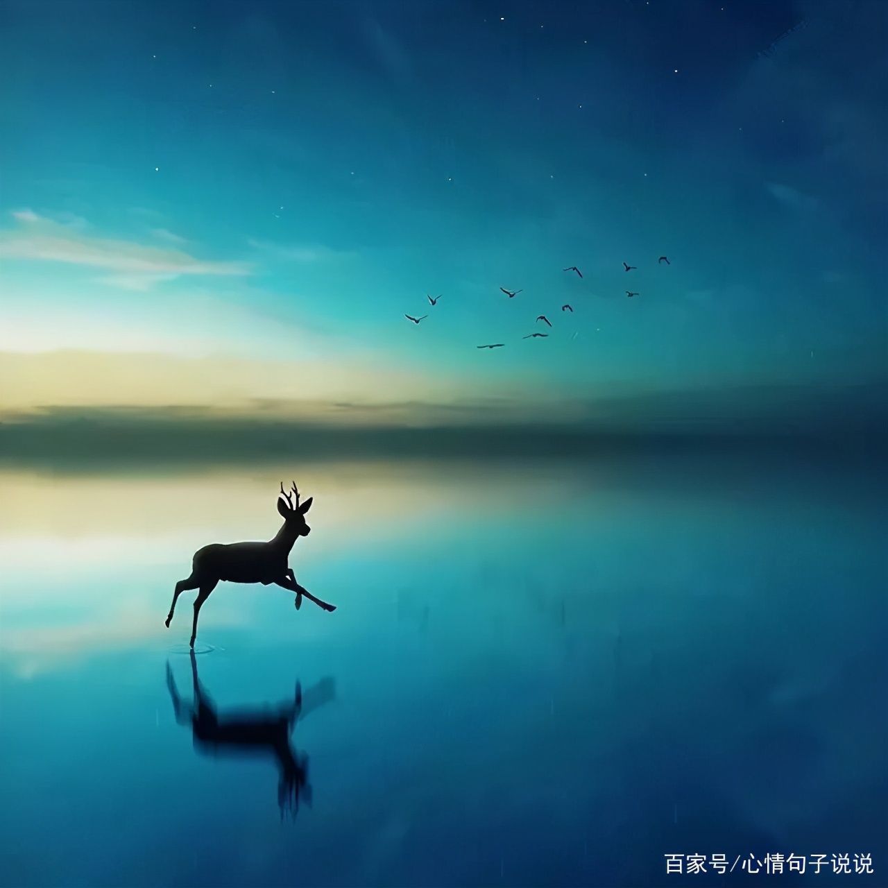 励志的句子经典语句（充满工作正能量的句子） 第3张