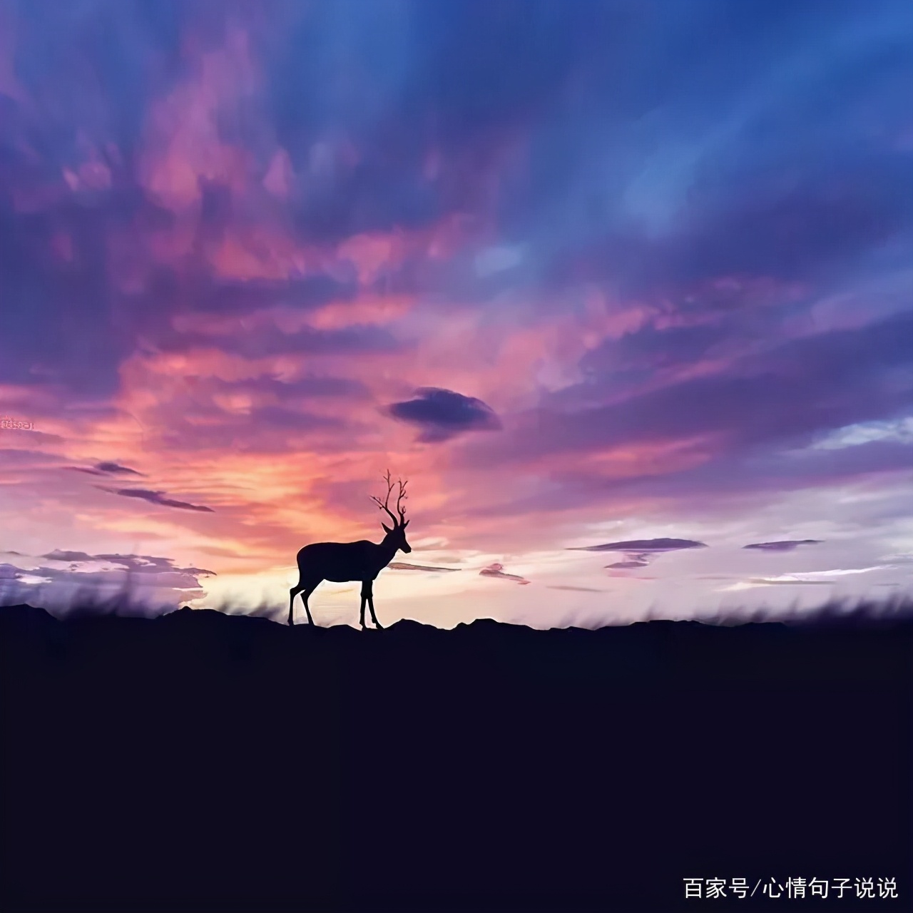 励志的句子经典语句（充满工作正能量的句子） 第7张