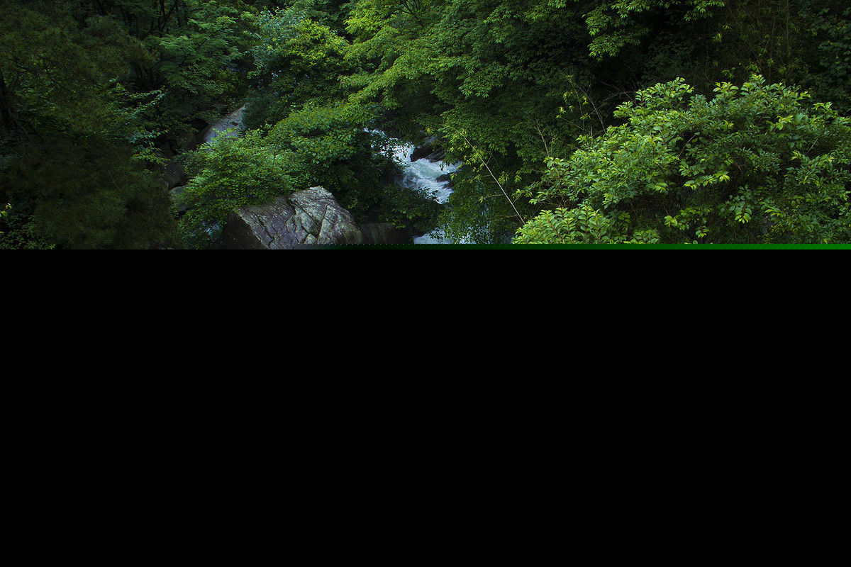 雨过山村翻译及赏析（雨过山村古诗赏析题） 第3张