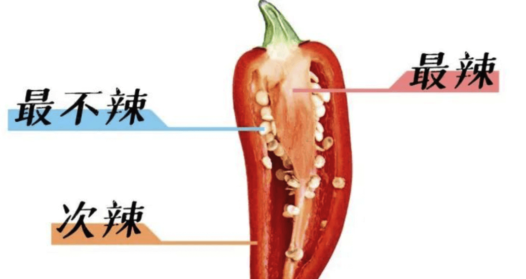 你了解辣椒对人体的益处吗？ 第1张