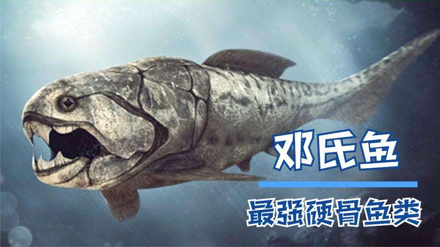 世界十大巨兽排行榜（史上10种最凶猛远古生物） 第7张