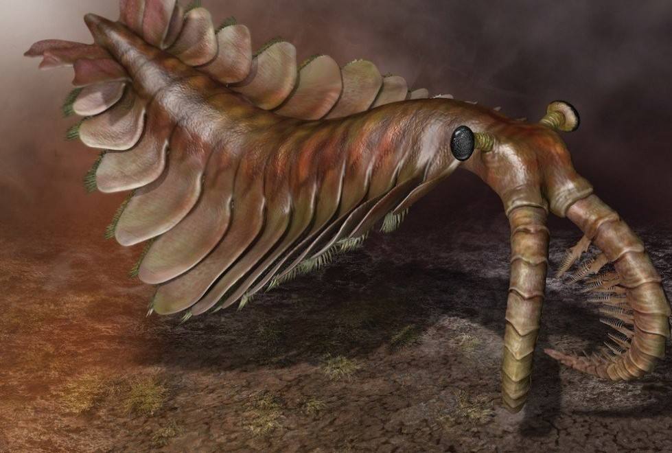 世界十大巨兽排行榜（史上10种最凶猛远古生物） 第17张