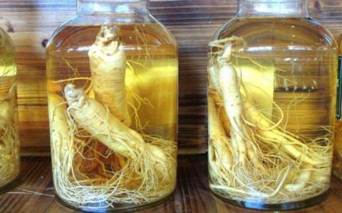 干人参怎么泡酒