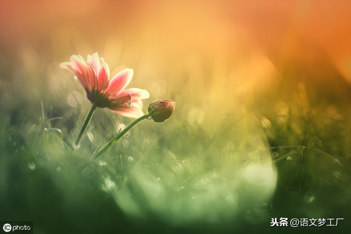 乐观开朗的句子有哪些（人与人相处感悟的句子） 第1张