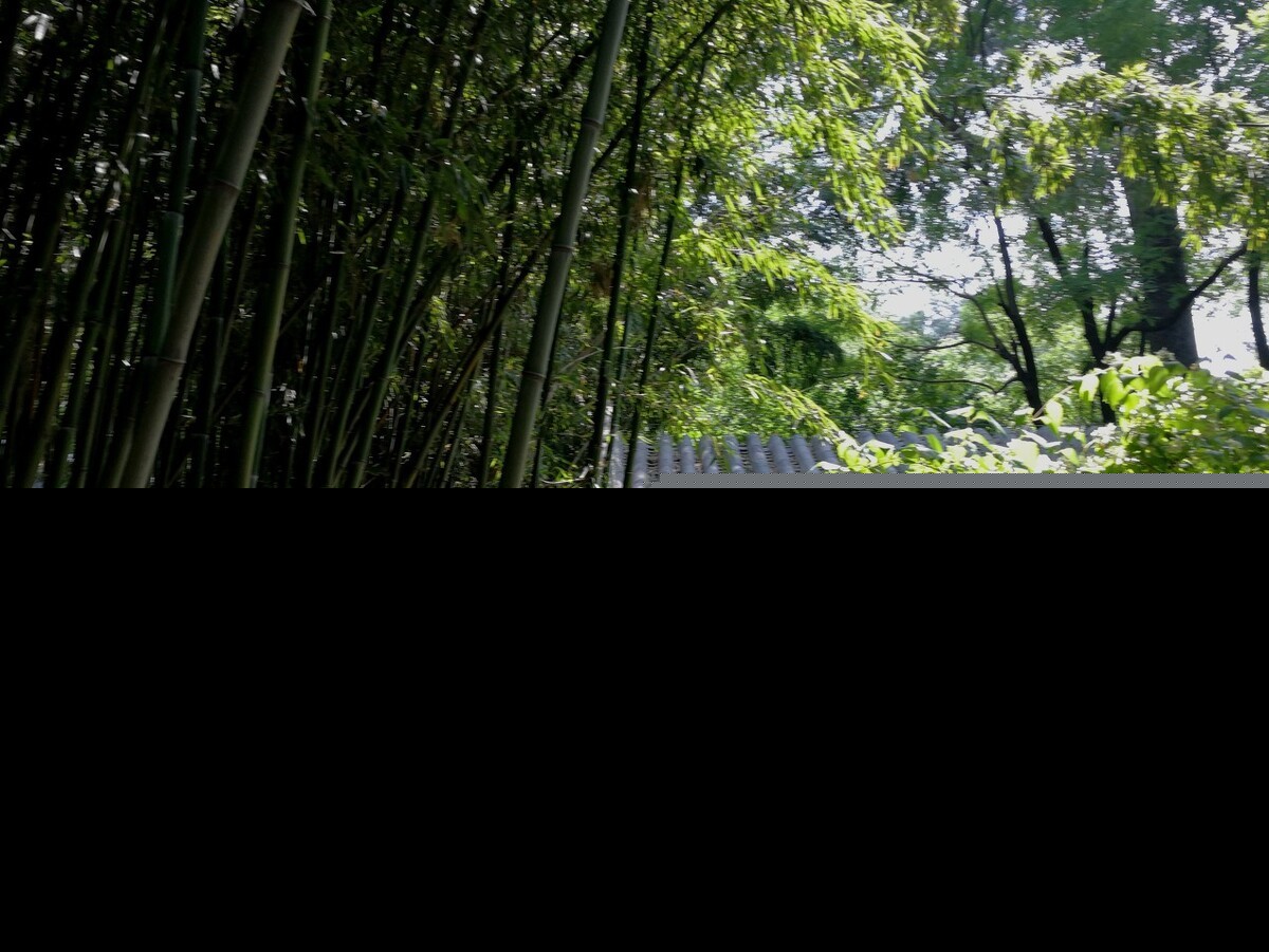形容绿色的诗句有哪些（赞美绿色的唯美诗句） 第9张