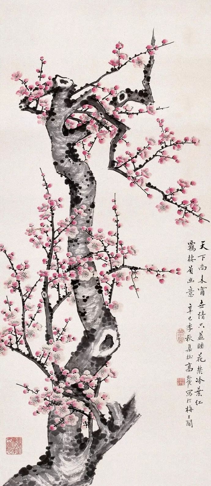 有关梅花的古诗有哪些（赞美梅花的千古名诗） 第11张