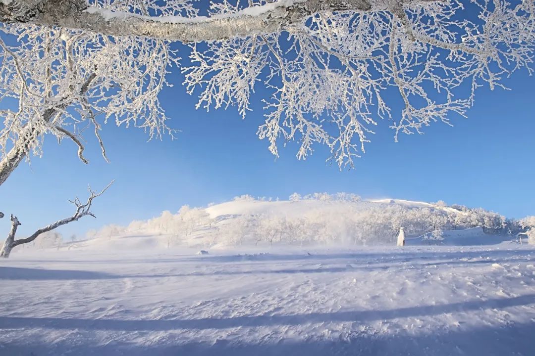 关于雪的古诗有哪些（赞美雪的诗句古诗大全） 第1张