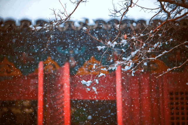 关于雪的古诗有哪些（赞美雪的诗句古诗大全） 第21张