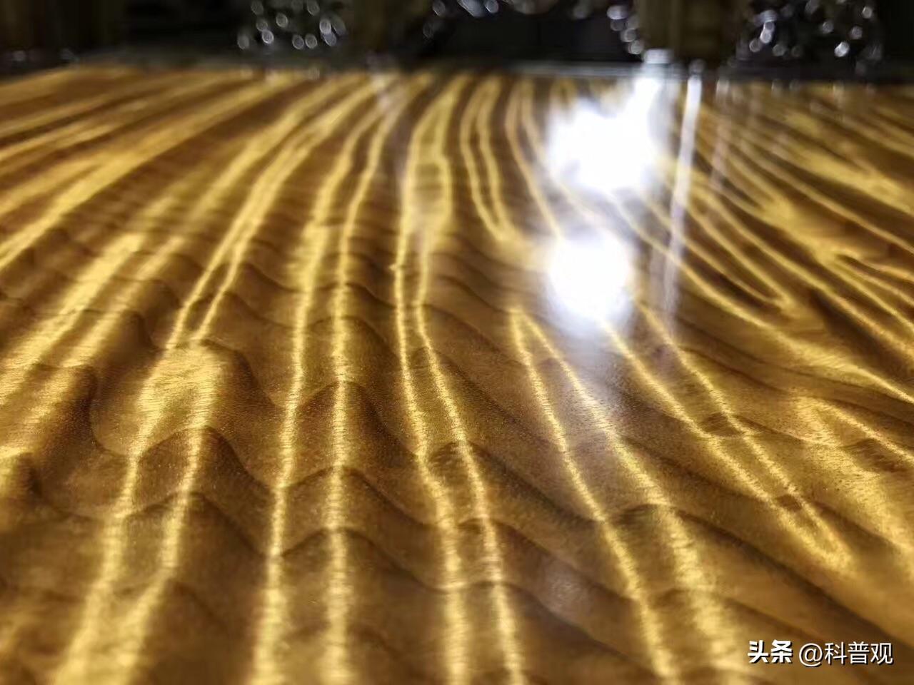 金丝楠木多少年成材（为何树苗12元一株却无人肯种） 第5张