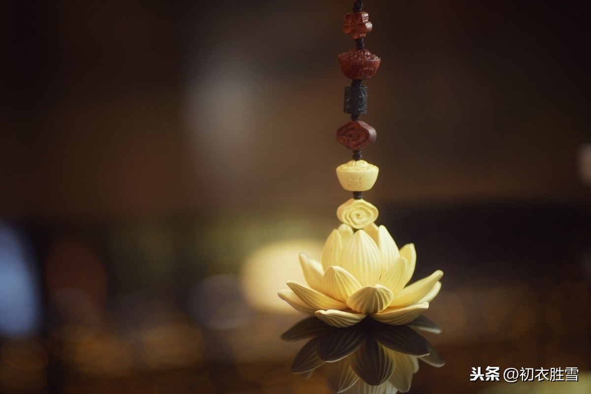 佛家赞美莲花的诗句（莲花最有禅意的句子） 第11张