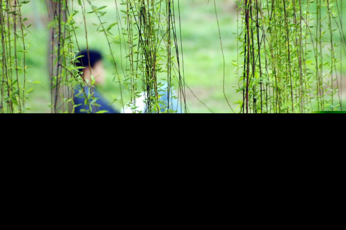 带四的诗句有哪些（带四的优美诗句） 第3张