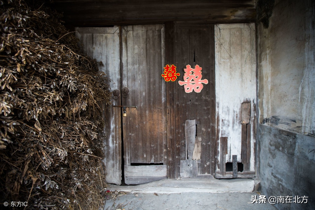 带四的诗句有哪些（带四的优美诗句） 第5张