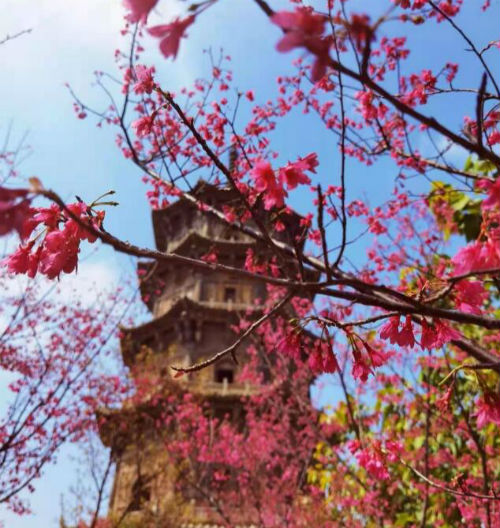 旅途愉快简短的句子（一路风景一路心情句子） 第1张