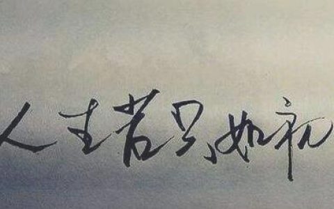 若如初见是什么意思（人生若只如初见的美句）