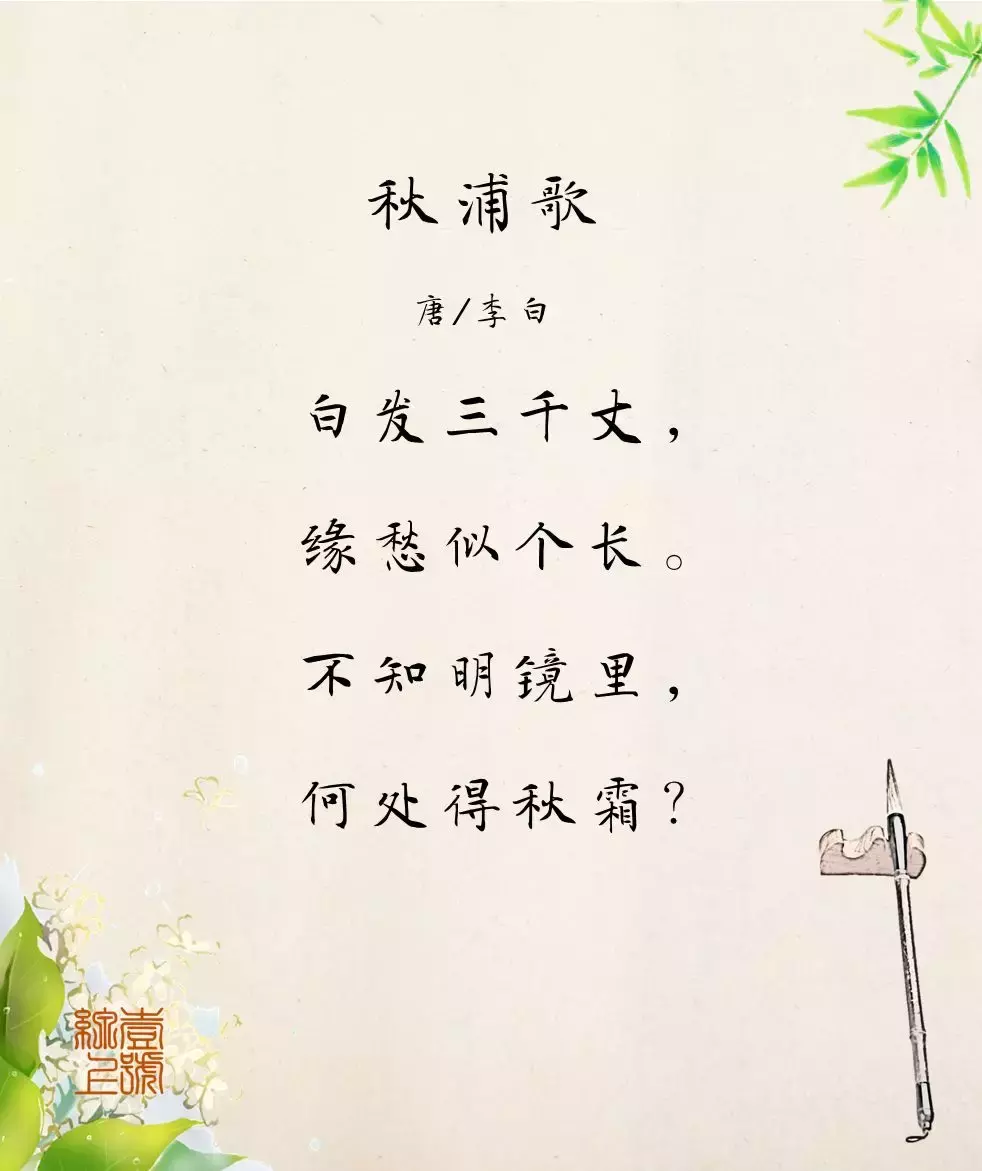 白发三千丈下一句是什么（全诗赏析及作者出处） 第1张