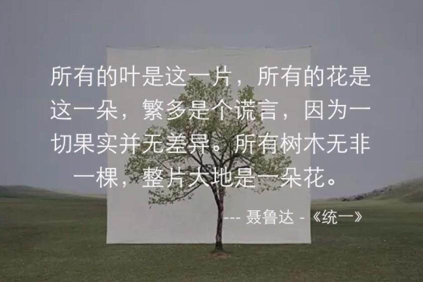 文艺小短诗 第1张