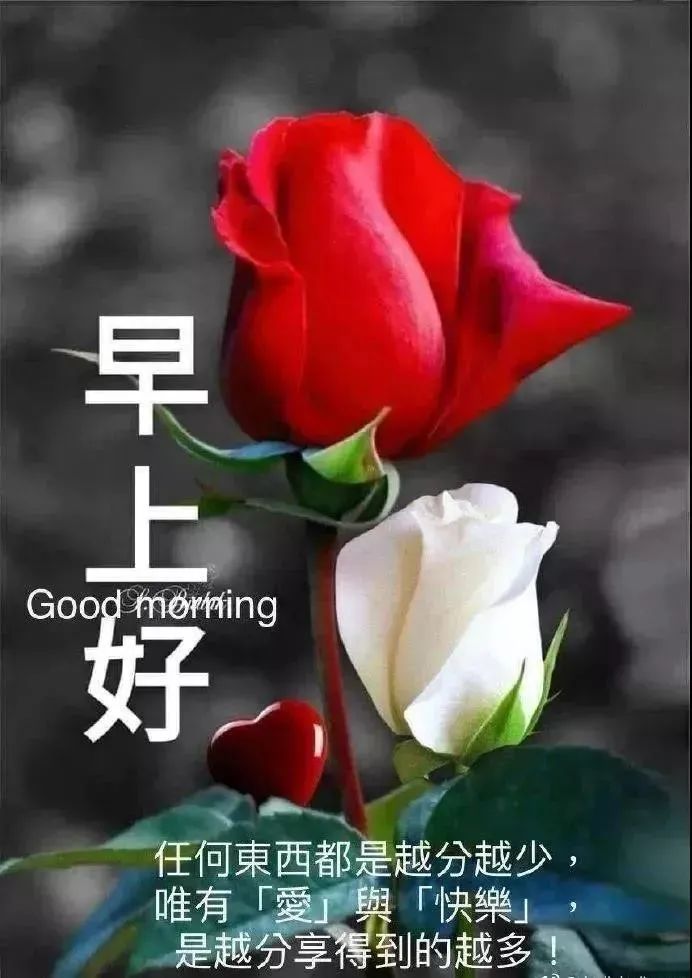 祝你幸福的句子简短（感到幸福温馨的句子） 第3张