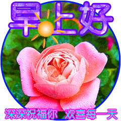 祝你幸福的句子简短（感到幸福温馨的句子） 第13张