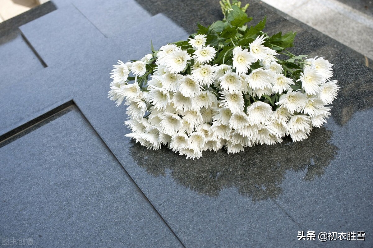挽歌陶渊明原文翻译（陶渊明拟挽歌辞其三赏析） 第1张
