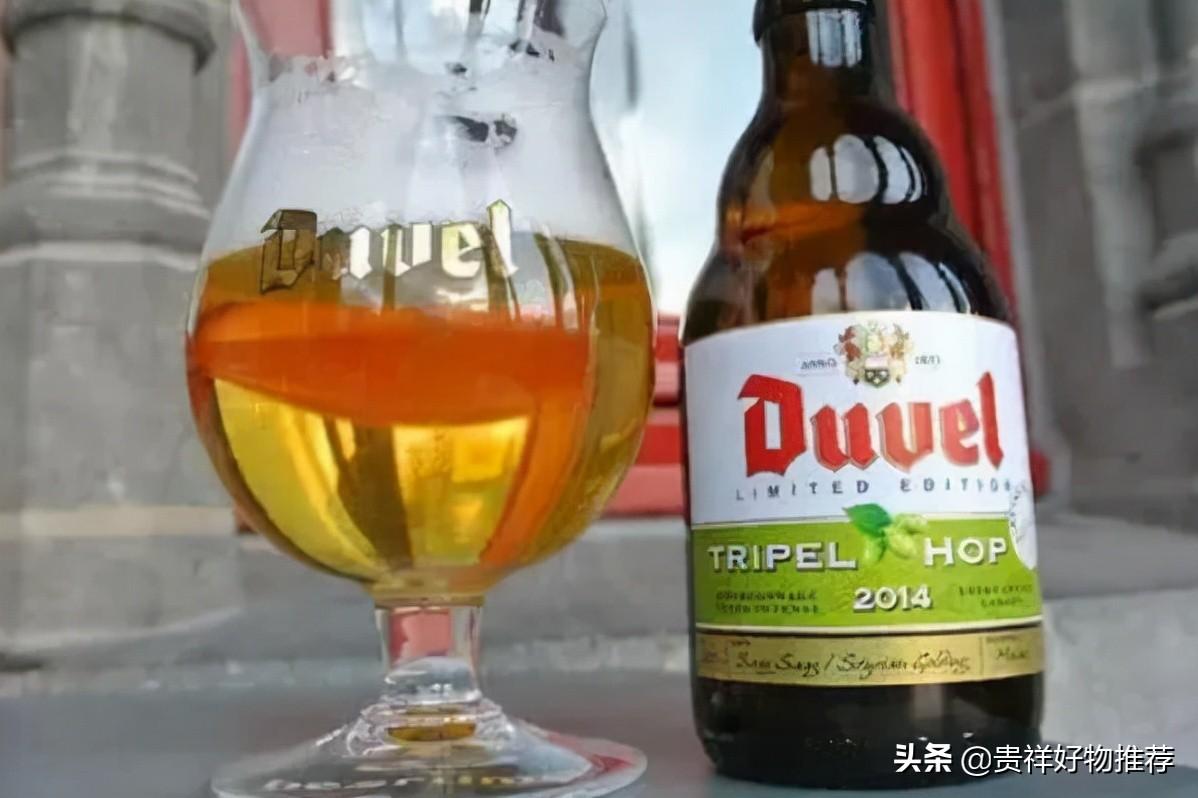 啤酒品牌排行榜前十名（世界十大精酿啤酒品牌） 第17张