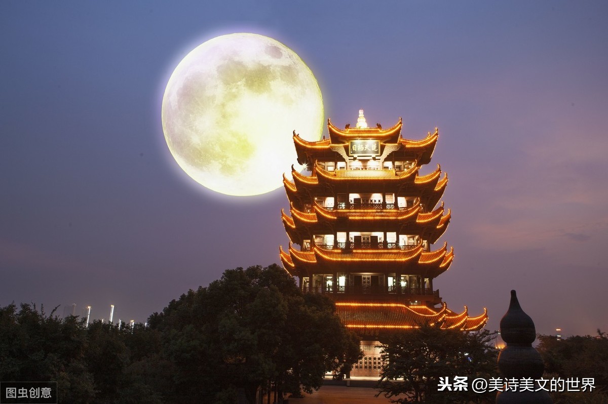 水调歌头赏析（苏轼水调歌头详解精练） 第3张