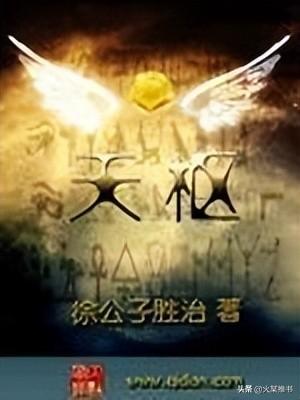 徐公子胜治作品（网文大神徐公子胜治哪本最好看） 第11张