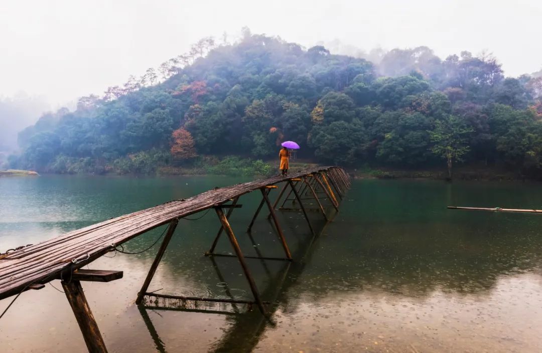 有关雨的诗句及情感（诗中含有雨的诗句） 第21张