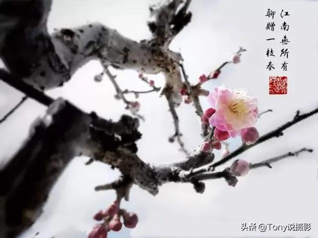 赤壁怀古苏轼原文及翻译（推荐苏轼的古诗之赤壁怀古赏析） 第1张
