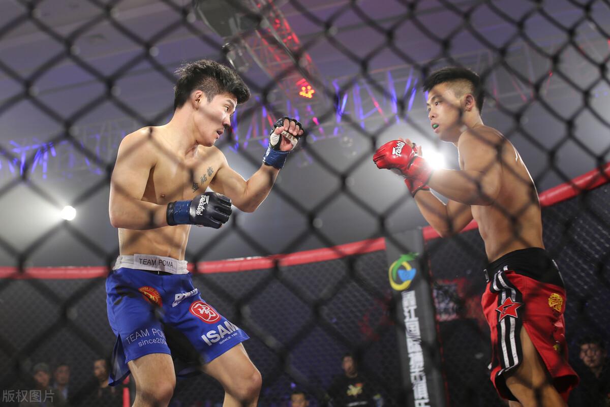 mma和ufc哪个含金量高（MMA和UFC的区别） 第9张