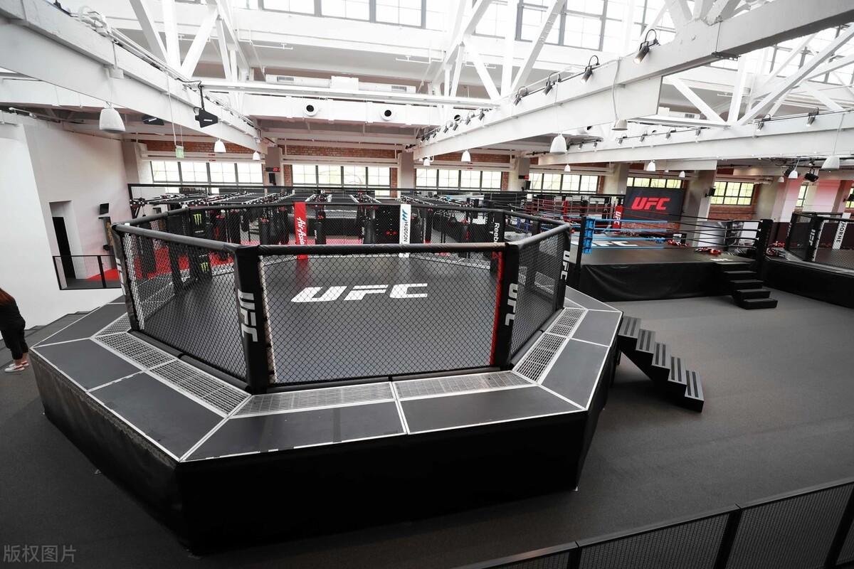 mma和ufc哪个含金量高（MMA和UFC的区别） 第15张