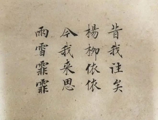 柳树的描写优美句子（关于垂柳的优美句子） 第5张