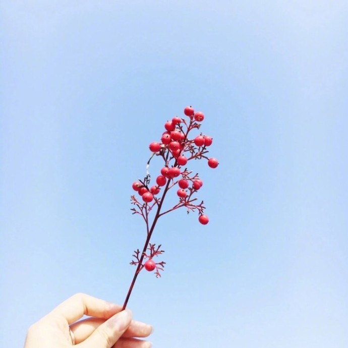 微信早安问候语经典（早安正能量问候语大全） 第3张