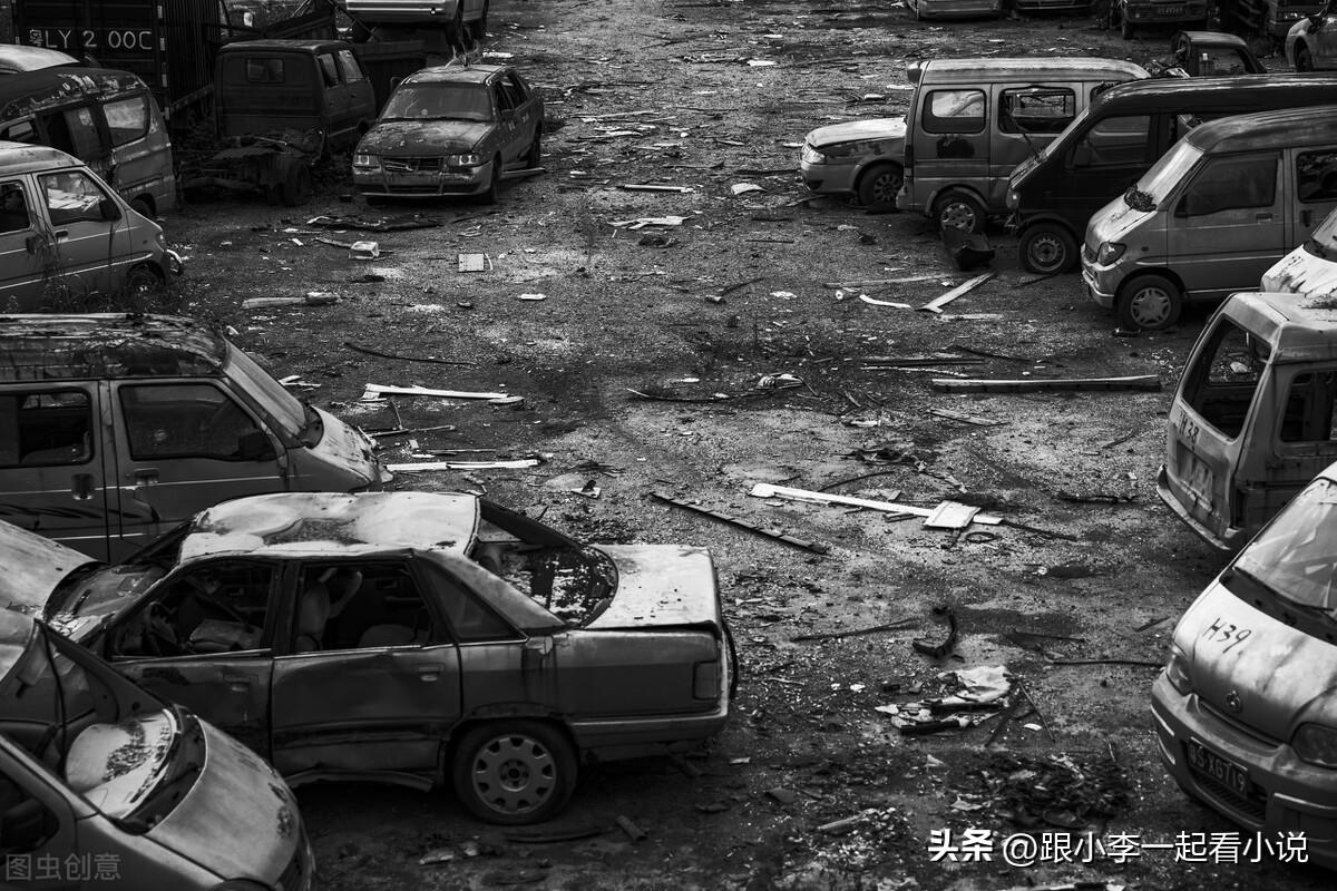 十大巅峰丧尸小说排行榜（10本末日丧尸后宫类小说） 第13张