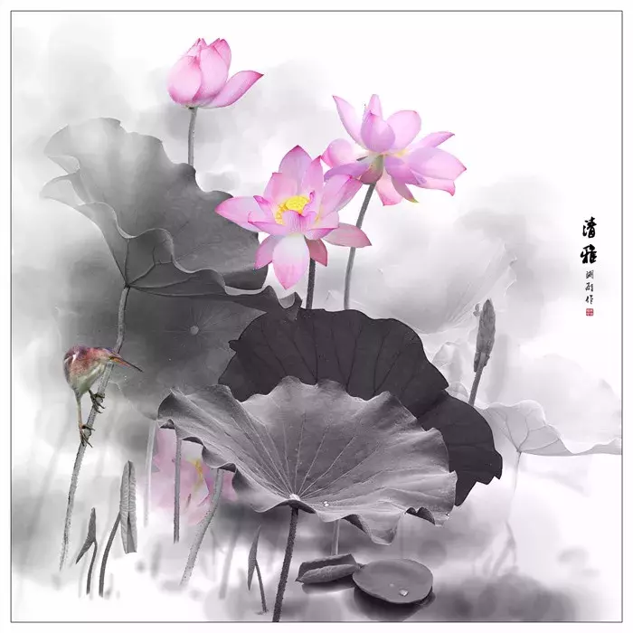 莲的古诗有哪些（描写莲花的诗句大全） 第1张