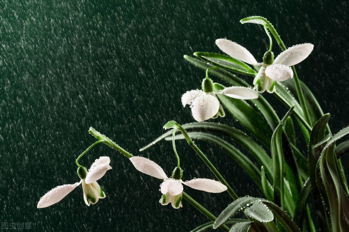 关于雨的唯美短句（下雨的有意境的短句子） 第1张