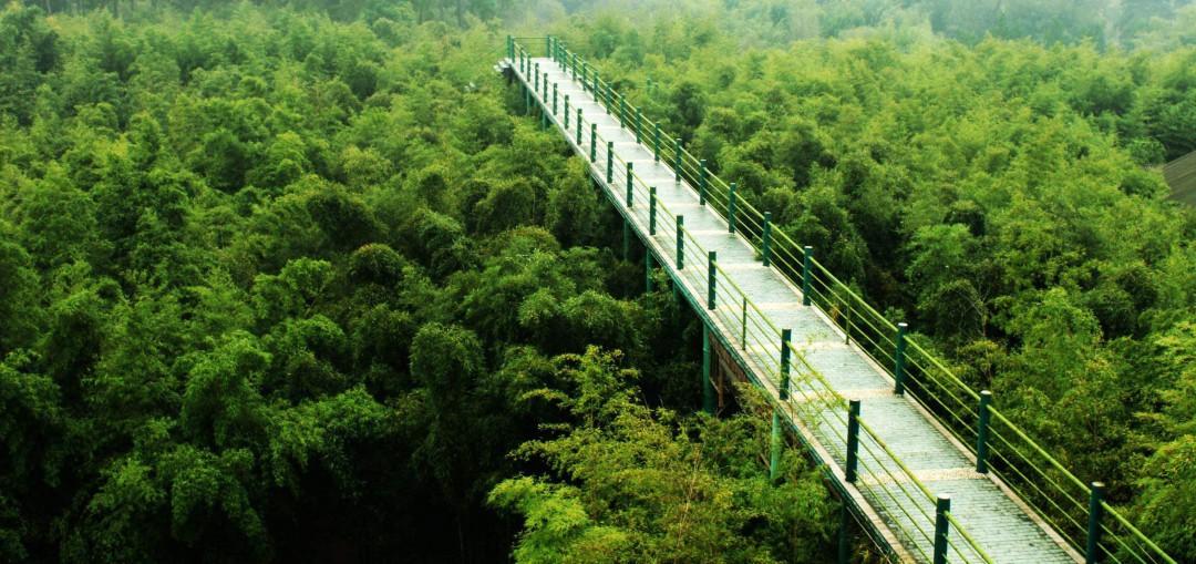 安吉旅游必去的景点 第1张