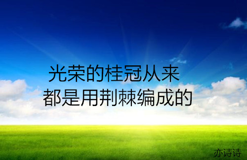 艾青的诗集摘抄（摘抄艾青的现代诗） 第3张