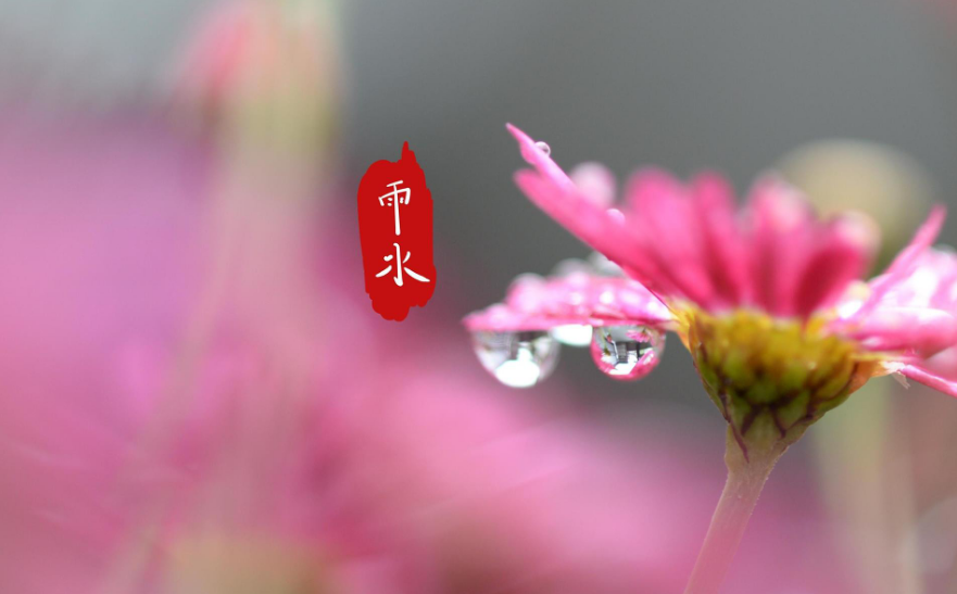 关于描写雨的古诗有哪些（唯美煽情的10首雨景诗） 第9张