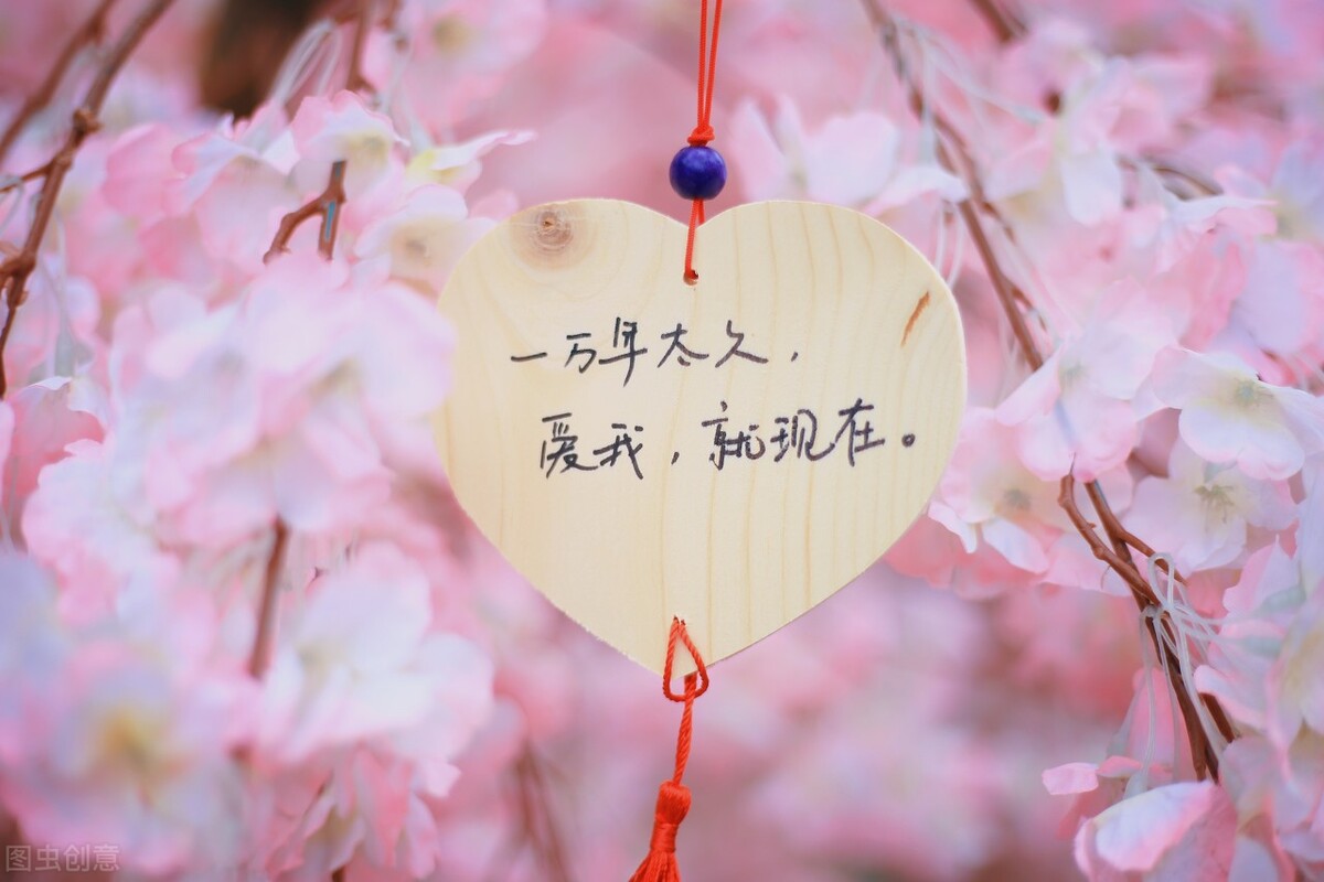 想你的句子唯美短句（简单又暖心的想念句子） 第5张