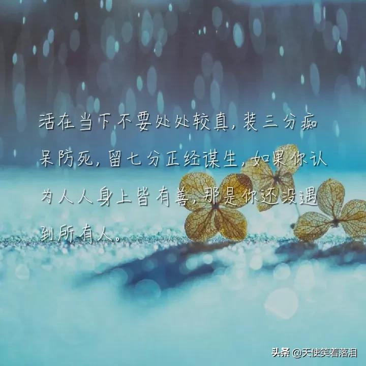 摘抄优美句子简短（散文经典美句摘抄短句 ） 第9张