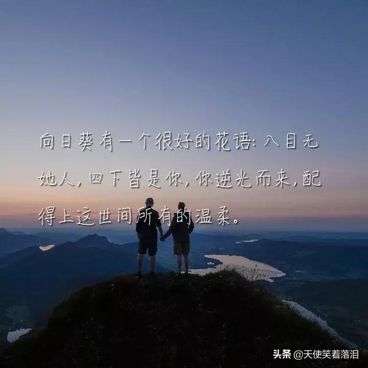 摘抄优美句子简短（散文经典美句摘抄短句 ） 第13张