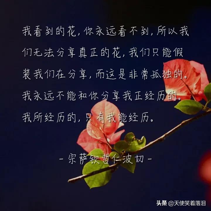 摘抄优美句子简短（散文经典美句摘抄短句 ） 第15张