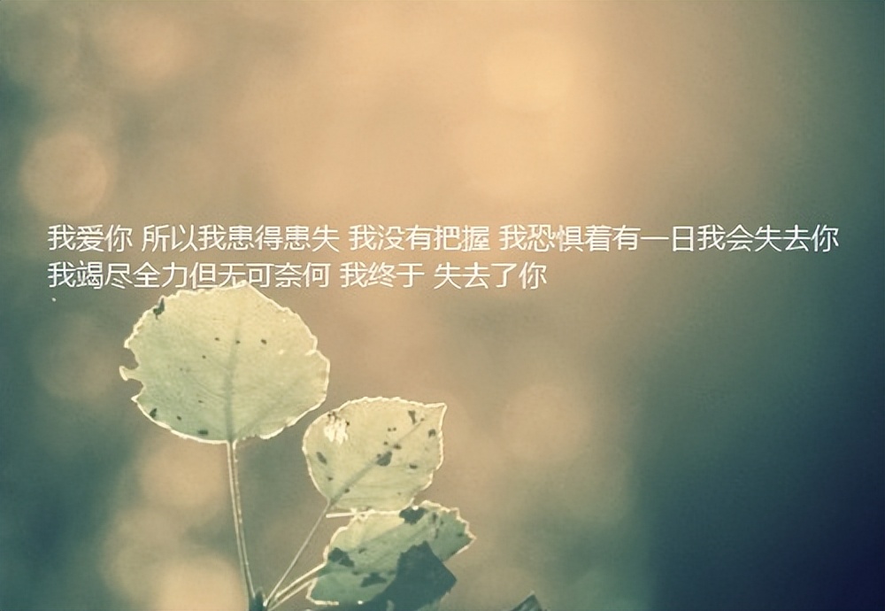 给朋友的话暖心短句（普通却惊艳的友谊文案） 第3张