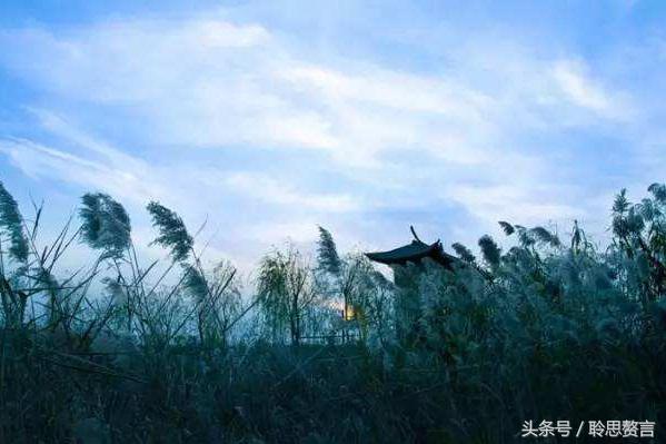 带草的古诗词有哪些（赞美草的24首经典古诗） 第37张