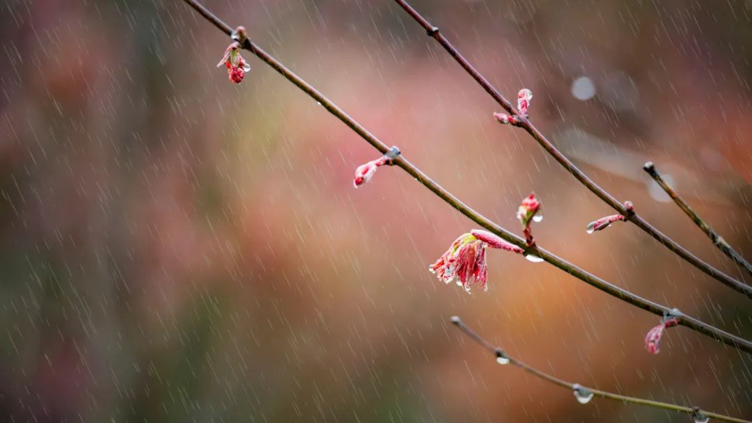描写下雨的优美句子（下雨的有意境的短句子） 第3张